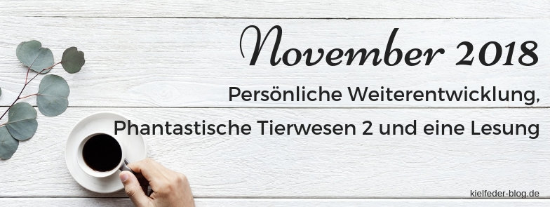monatsrückblick November 2018-buchblog kielfeder